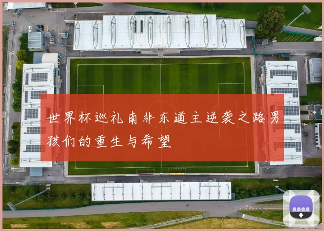 世界杯巡礼南非东道主逆袭之路男孩们的重生与希望